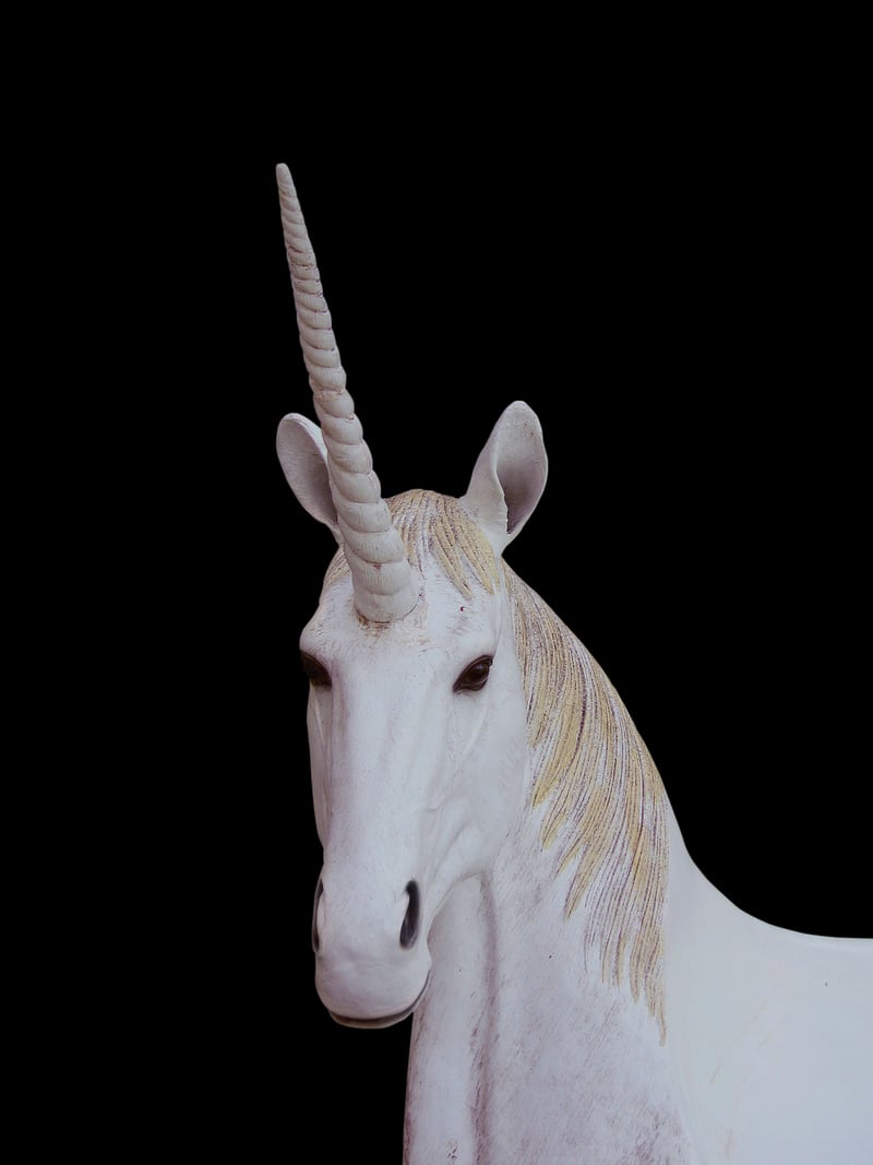 Unicorn sightings